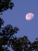 20th Jul 2012 - Early evening moon...