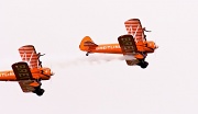 20th Jul 2012 - wing walk