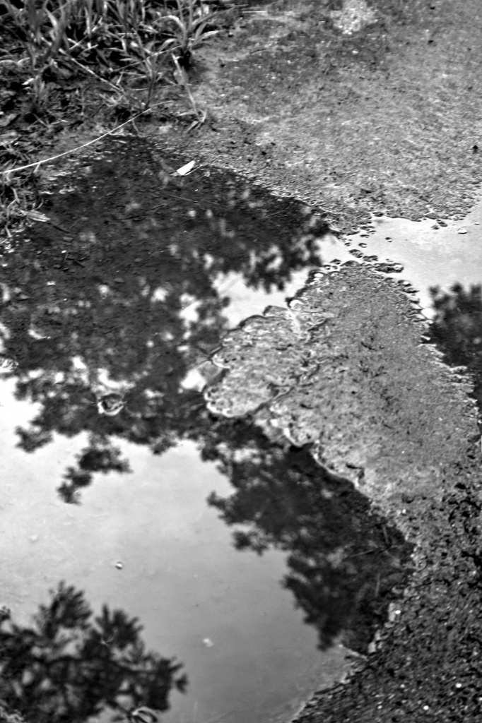 A Puddle by digitalrn