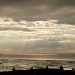 Whitstable sunrays by dulciknit