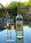 21st Jul 2012 - White Rioja.....just the job