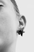 21st Jul 2012 - Starfish Ear Rings