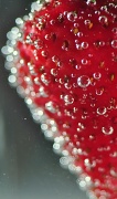 22nd Jul 2012 - Strawberry Bokeh