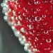 Strawberry Bokeh by jayberg