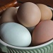 Fresh Eggs by lisabell