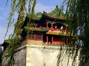3rd Jul 2012 - Wind in the trees at the beautiful Summer Palace