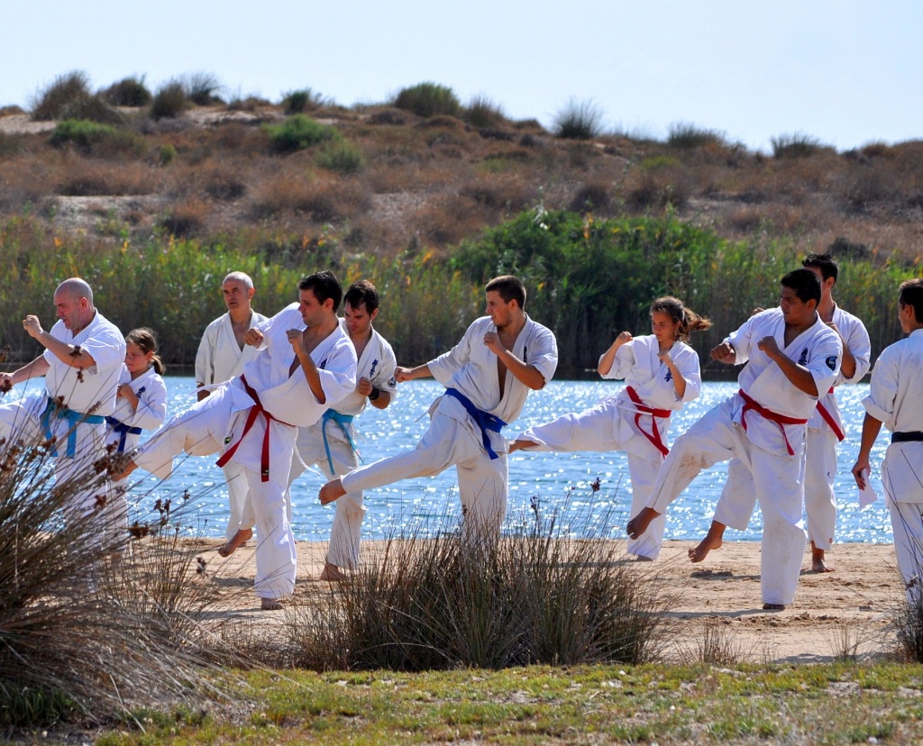 Outdoor karate lesson... by philbacon