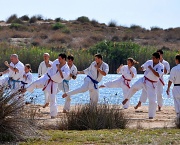 3rd Jul 2012 - Outdoor karate lesson...