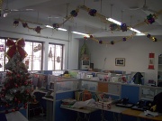 14th Dec 2011 - Christmas decorations in the office.