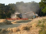 22nd Jul 2012 - Harvesting the barley