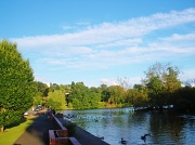 22nd Jul 2012 - Wyndley Pool,Sutton Park