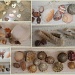 Collection of shells by tara11