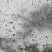 Raindrops on Back Window 7.23.12  by sfeldphotos