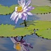 Lilly pad  by sugarmuser