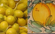 15th Jan 2010 - Lemons