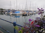 18th Jul 2012 - Peter Port, Guernsey