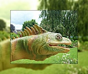 24th Jul 2012 - Tidysaurus