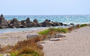 8th Jul 2012 - The beach...