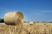 25th Jul 2012 - Make hay while the sun shines