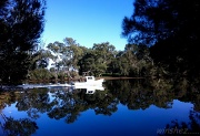 24th Jul 2012 - river reflections