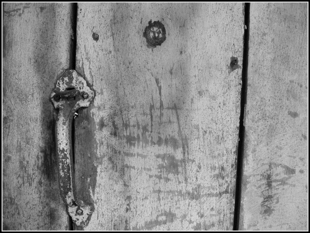 Old Cellar Door by olivetreeann