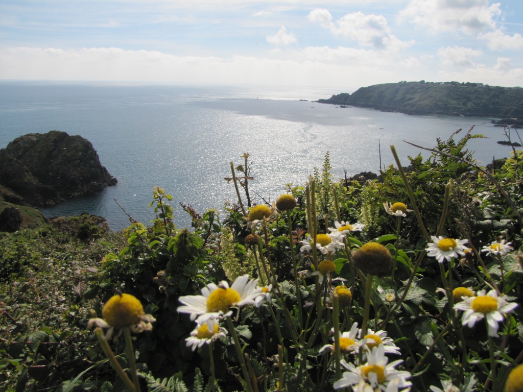 Cliff top walk, Guernsey by busylady