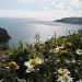 Cliff top walk, Guernsey by busylady