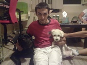 17th Jul 2012 - Doggies