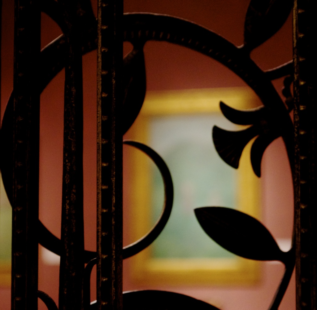 Wrought iron gate at The Detroit Institute of Arts by corktownmum