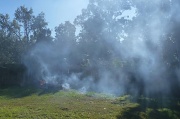 30th Jun 2012 - Fire
