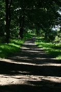 24th Jul 2012 - Zebra Trail