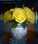 26th Jul 2012 - Roses from friends