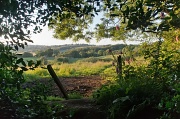 23rd Jul 2012 - Worcestershire Hills
