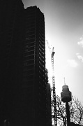 27th Jul 2012 - Crane