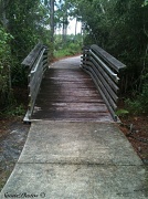 27th Jul 2012 - Bridge to nowhere
