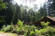 26th Jul 2012 - Forest Garden