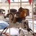 Teddy's having a ride on the rocking horse.  by snowy