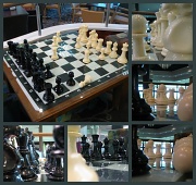 28th Jul 2012 - Shall We Play Chess?