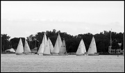 27th Jul 2012 - sails away