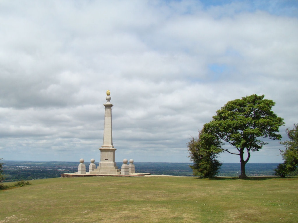 Coombe Hill WWYD60 by bulldog