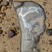 Stone footprint by lellie