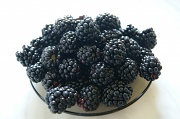 28th Jul 2012 - blackberry