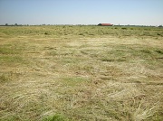 28th Jul 2012 - Hay land with barn and steeple
