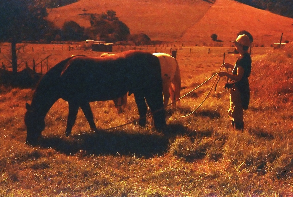 Grazing together by peterdegraaff