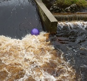 24th Jul 2012 - Ball in the water