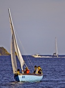 29th Jul 2012 - Harbour Boaties