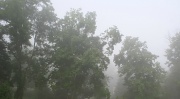 29th Jul 2012 - Fog