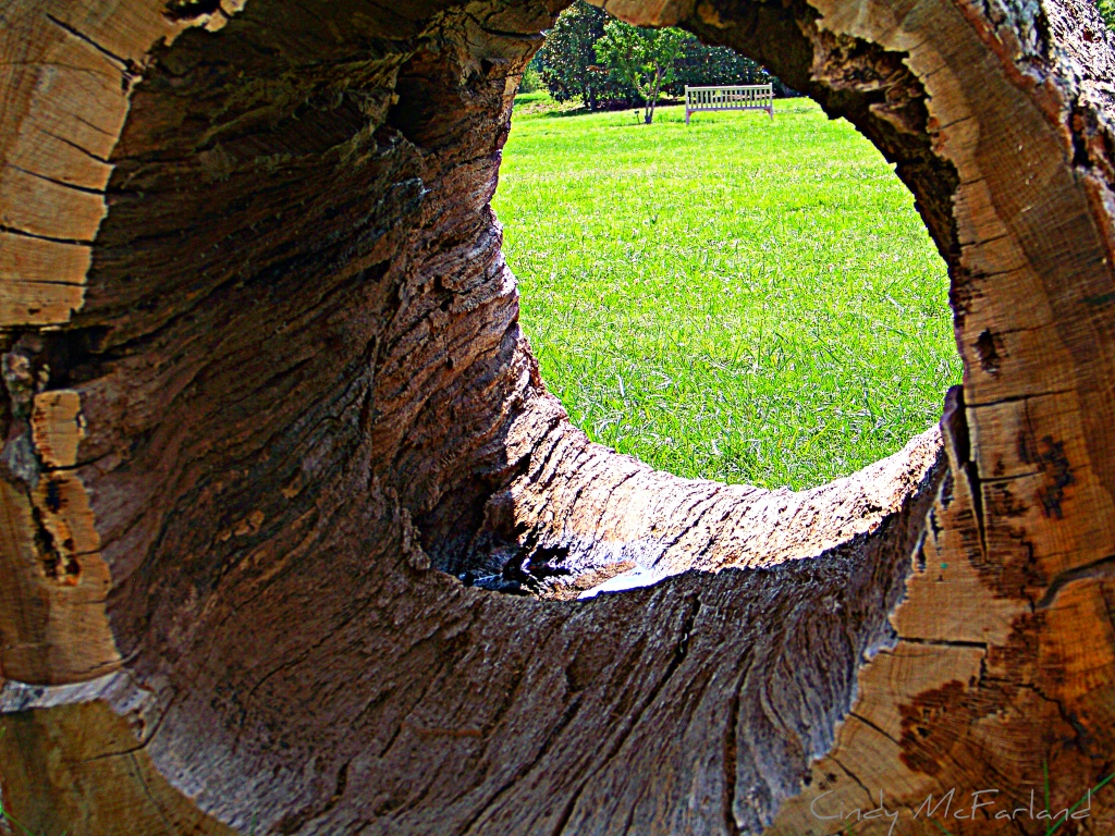 A Hollow View by cindymc