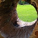A Hollow View by cindymc