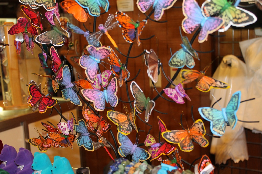 Colorful butterflies by judyc57
